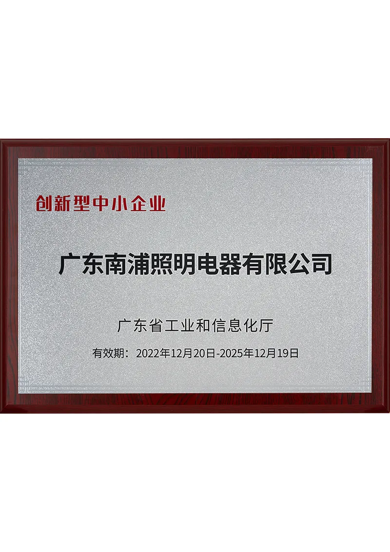 Innovative SMEs