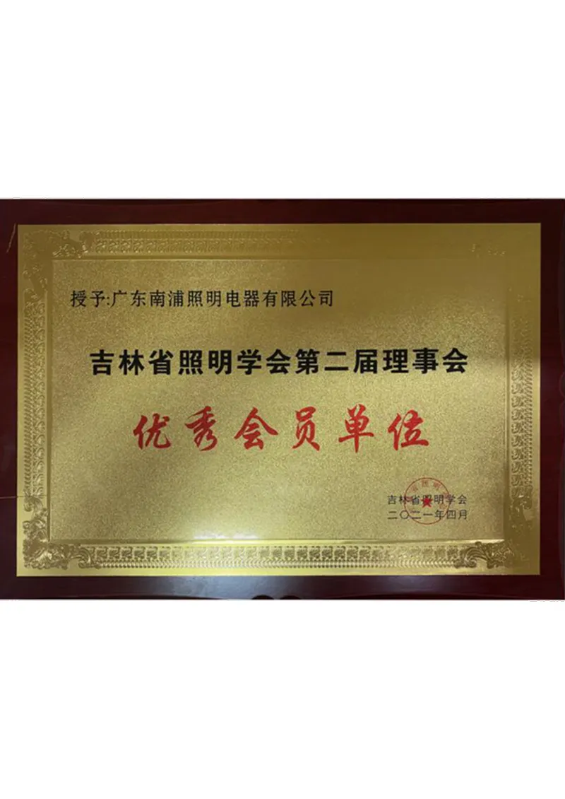 2021 Outstanding Member of Jilin Illuminating Society