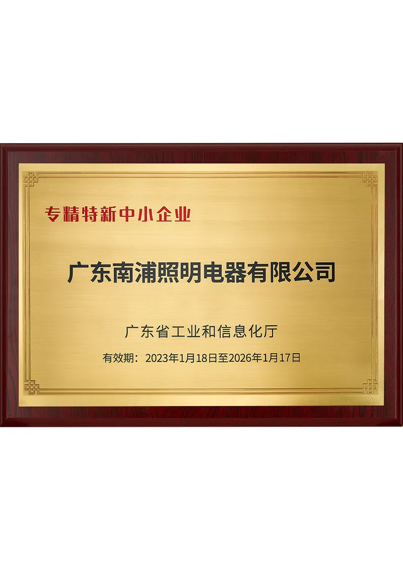 Specialized, specialized and innovative small and medium-sized enterprises