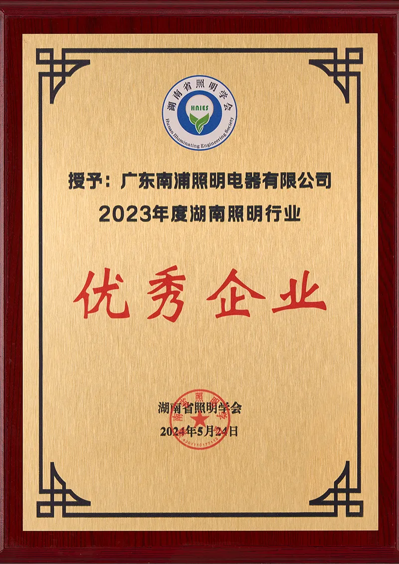 2023 Outstanding Enterprise in Hunan Lighting Industry