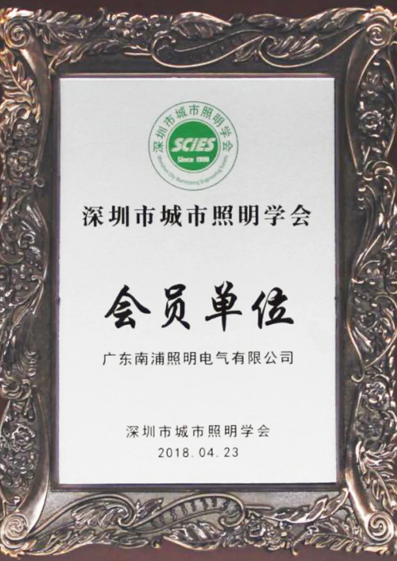 Member unit of Shenzhen Urban Lighting Society