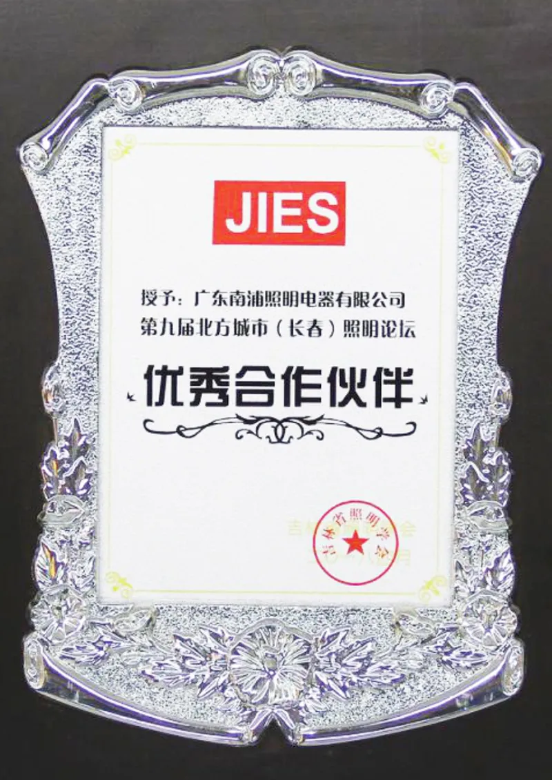2018 Excellent Partner of the 9th Northern City (Changchun) Lighting Forum