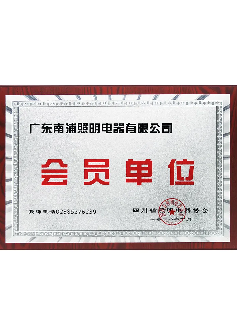 Member unit of Sichuan Lighting Appliance Association