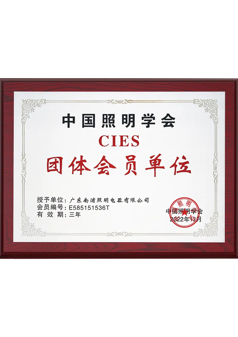Group member of China Illuminating Engineering Society