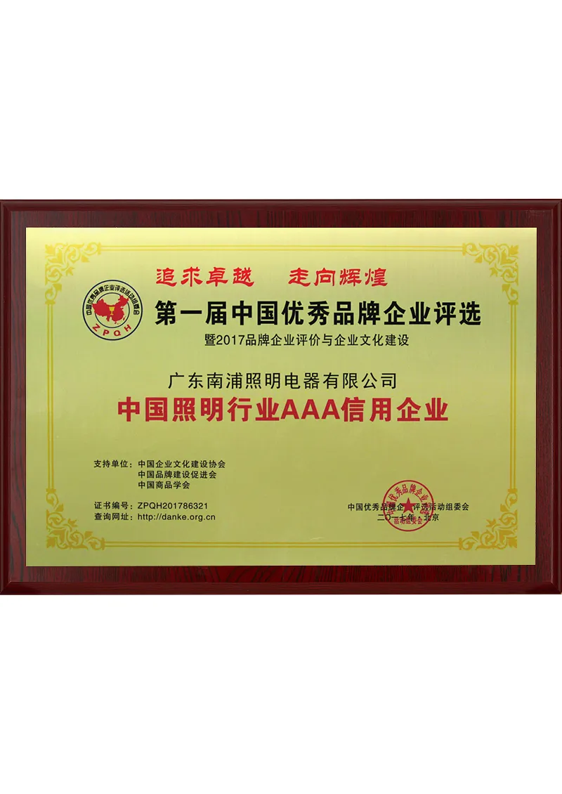 2017 China Lighting Industry AAA Credit Enterprise