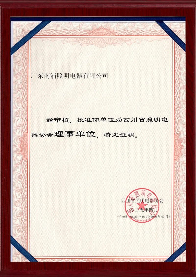 2025-2026-Sichuan Lighting Appliance Association-Council Membership Certificate