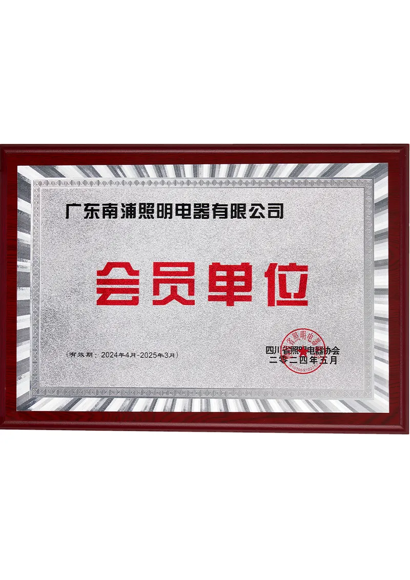 2024-2025 Sichuan Lighting Association-Member Unit