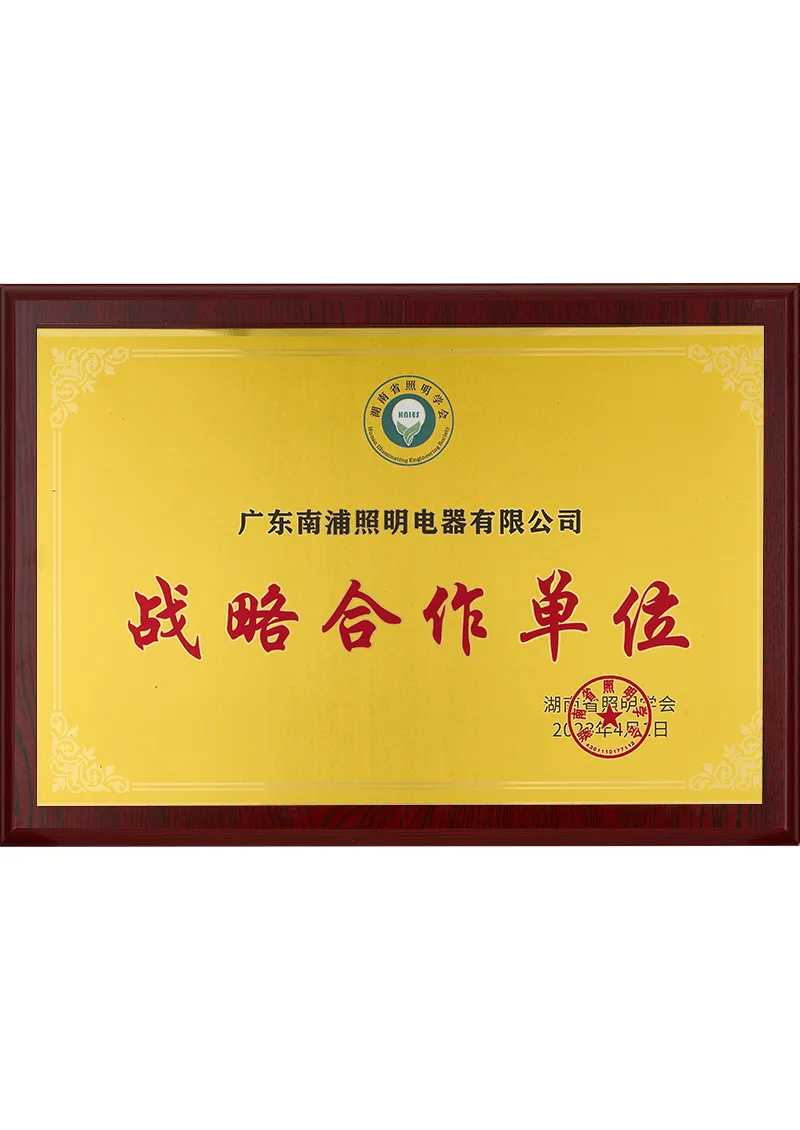 2023 Hunan Illuminating Engineering Society-Strategic Cooperation Unit