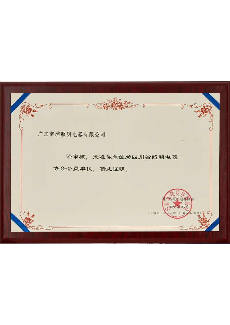 2024-2025 Sichuan Lighting Association-Membership Certificate